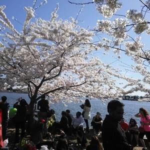 Meet your Posher, Luna